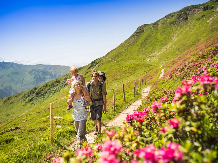Wandern mit Kleinkinder in Saalbach