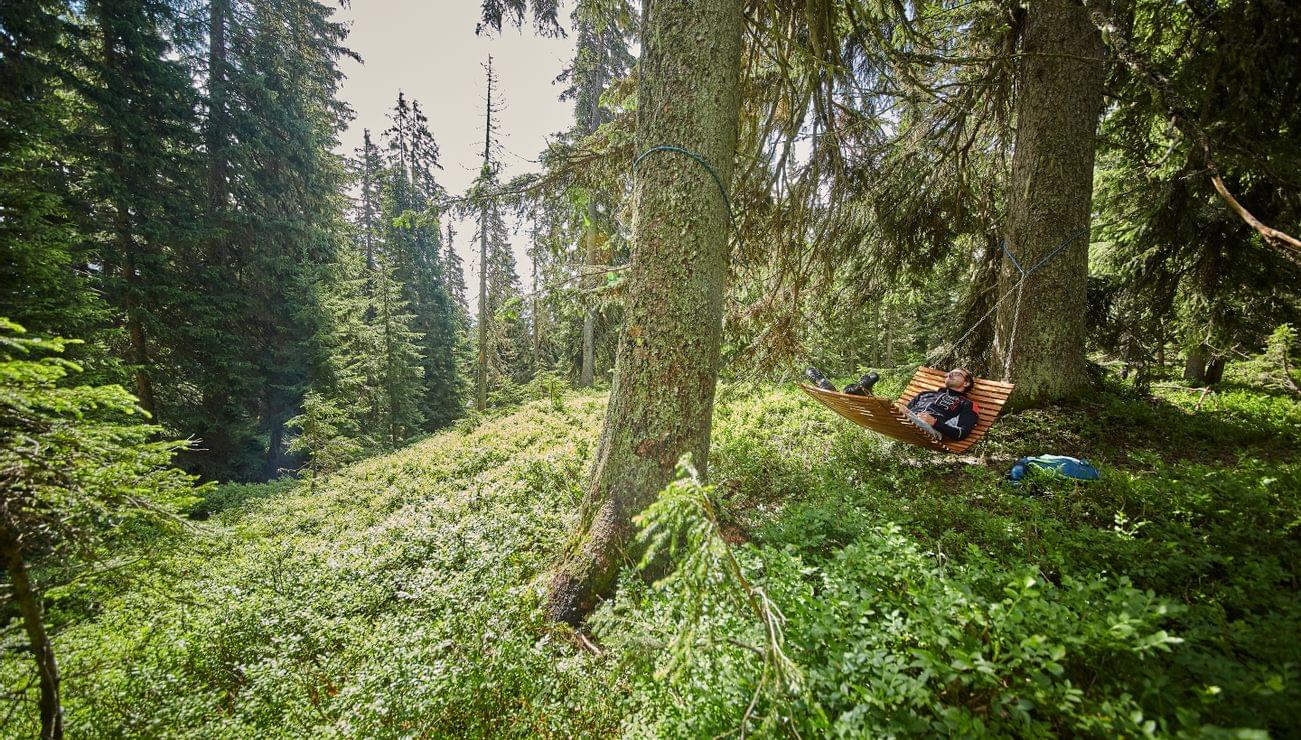 Waldbaden im Salzburger Land