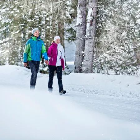 Winterwandern in Österreich