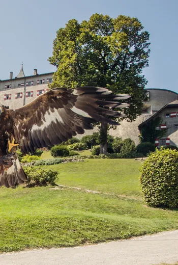 Ausflugsziele im Salzburger Land