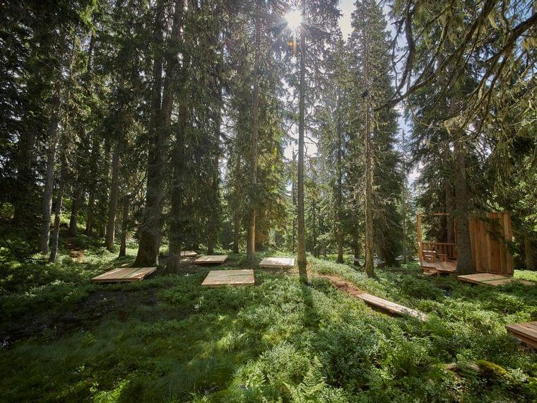 Plattformen im Wald für Yoga