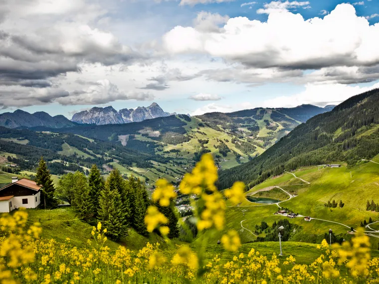 Blühende Almwiesen mit Blick auf das Glemmtal