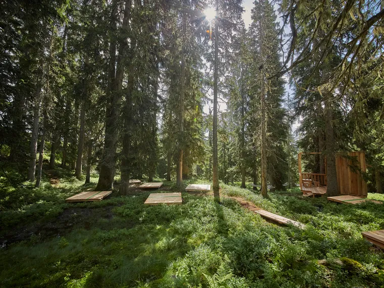 Wald