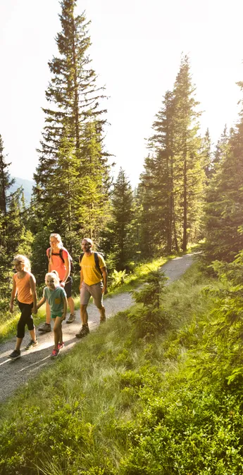 [Translate to English:] 