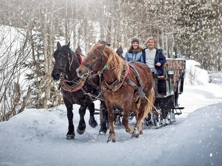 Pferdeschlittenfahren in Saalbach Hinterglemm 