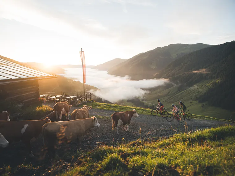 Biken in den Morgenstunden in Saalbach