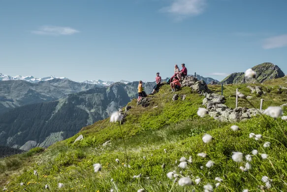 Rast mit herrlicher Aussicht auf die Saalbacher Bergwelt