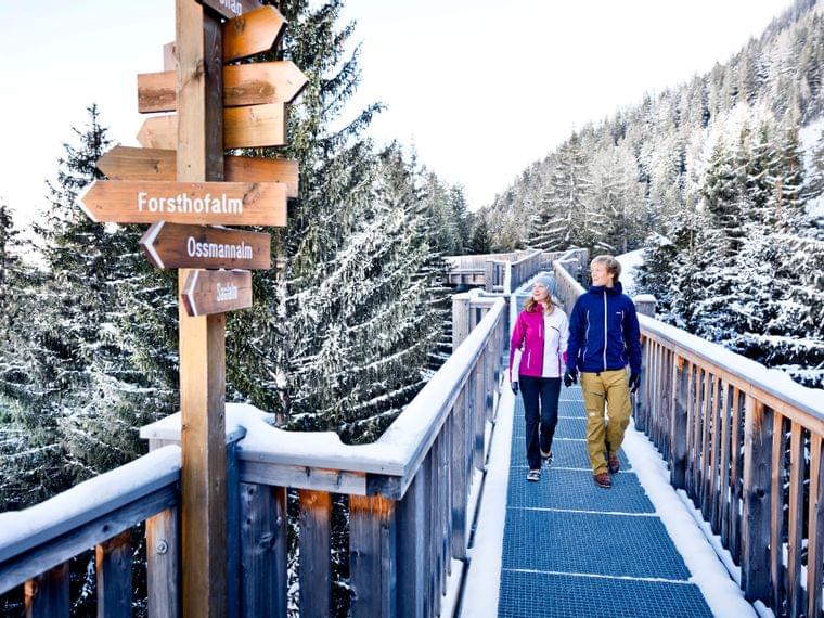 Wandern am Baumzipfelweg im Winter