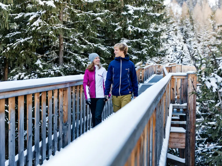 Baumzipfelweg im Winter