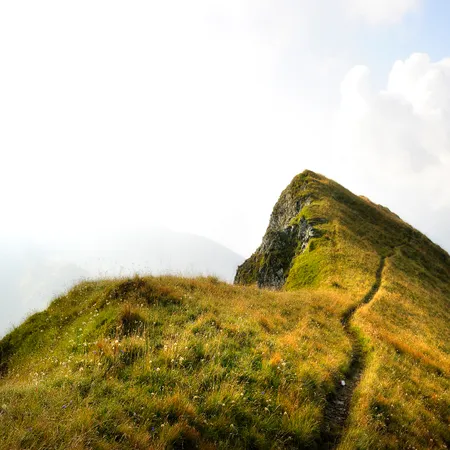 Urlaub in Saalbach Hinterglemm in den Alpen