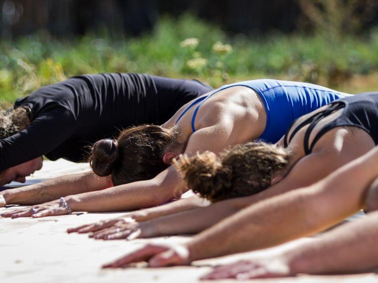 Yoga in der Gruppe im Wald