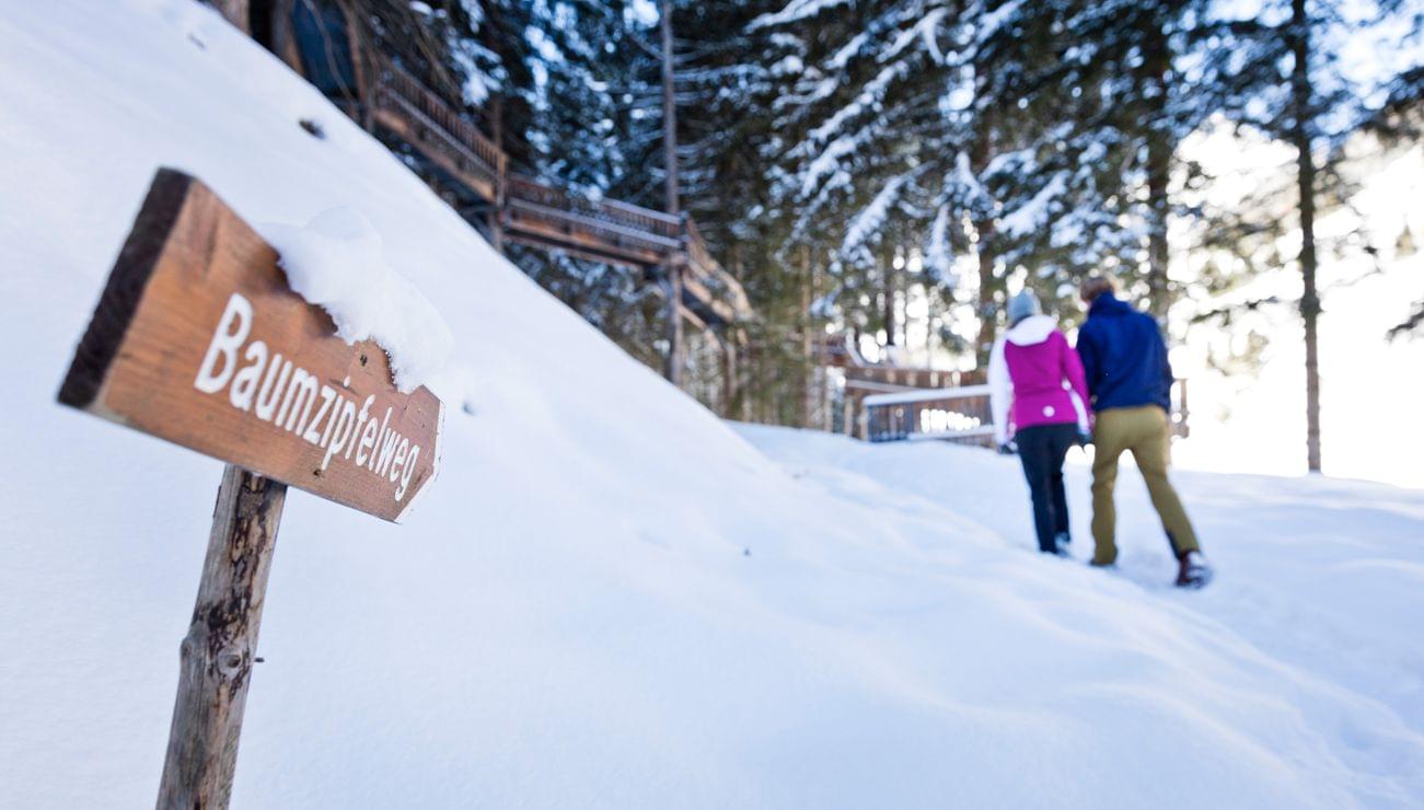 Im Winter am Baumzipfelweg