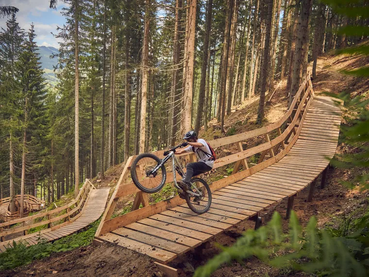 Mountainbiker im Wald