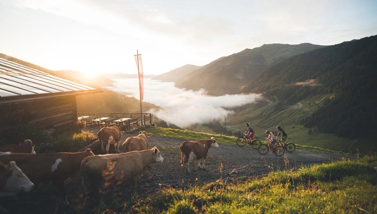 Biketour zu einer Almhütte im Glemmtal